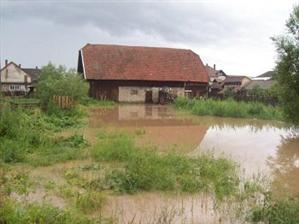 ECONOMIC. Peste 16.000 de hectare de culturi agricole, inundate în Cluj
