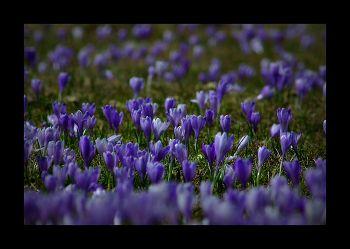 Şapte fotografi expun la Insomnia 