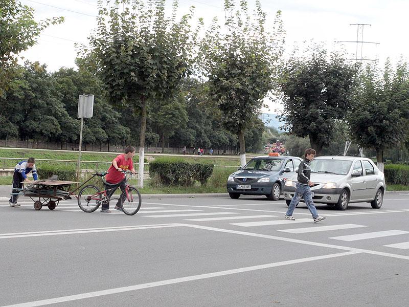 “Zebrele” ucigaşe din Cluj  