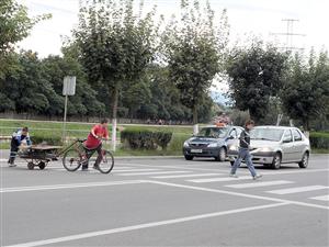 “Zebrele” ucigaşe din Cluj  