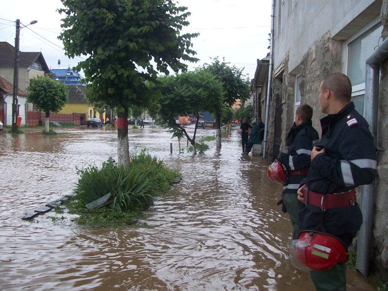 În 2010, pompierii clujeni s-au bătut cu natura