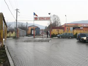 “U” Cluj cere alt judecător în procesul cu Oncos