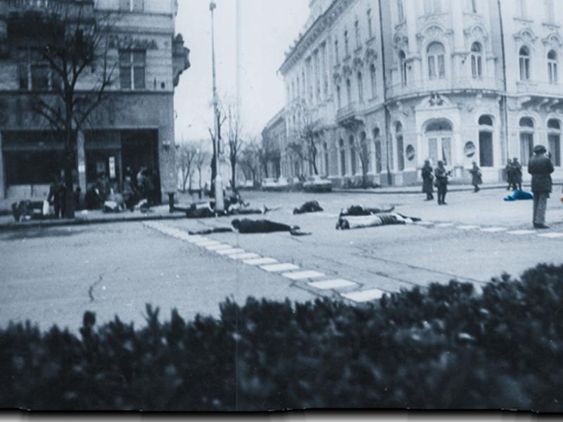 Clujul condamnă România la CEDO