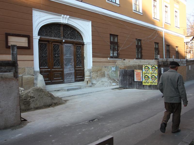 Pledoarie pentru Muzeul de Istorie a Transilvaniei