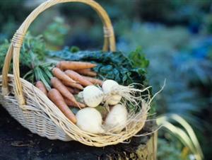 Doi britanici s-au mutat în România ca să vândă legume ecologice în Huedin