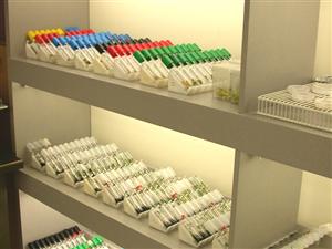 Fertilizările in vitro la Cluj, finanţate de stat   