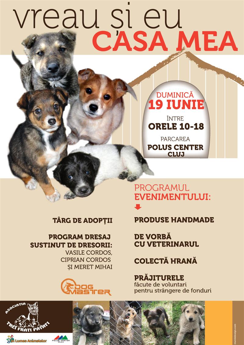 Clujenii pot adopta gratis căţei de pe străzi, duminică