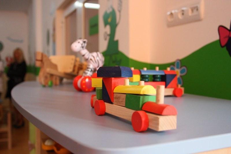 Două creşe noi de anul viitor în Cluj cu banii Elenei Udrea