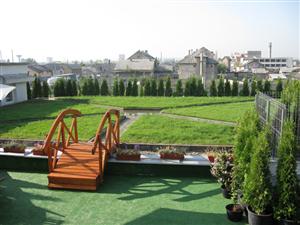 “Verde” pe case, la Cluj