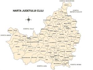În caz de regionalizare, 250 de aleşi locali ai PSD Cluj vor fi retraşi    VIDEO