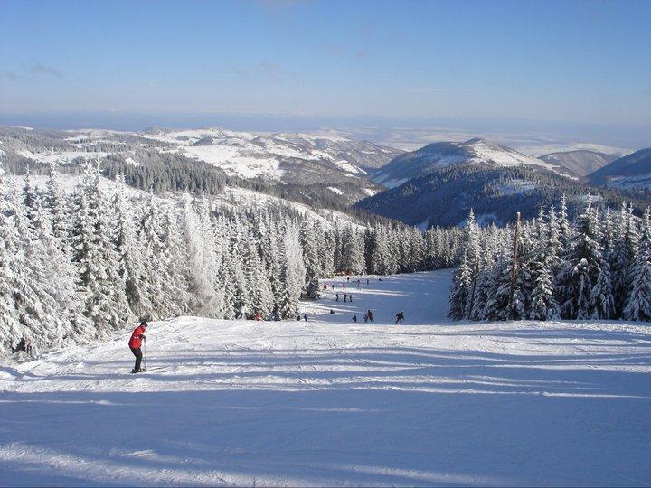 Concurs de sănii pentru primari şi parlamentari la Serbările Zăpezii de la Băişoara