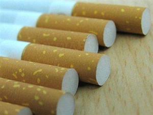 Contrabandă cu ţigări în căminele studenţeşti din Hasdeu