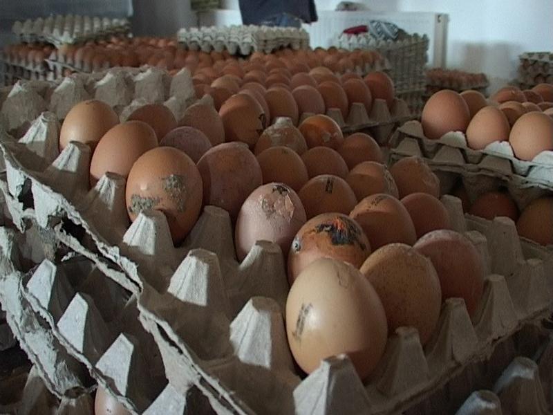 6.000 de lei amendă pentru vânzătorii de ouă din pieţele clujene VIDEO