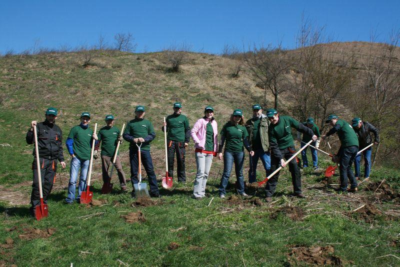 Pădurea Tineretului, mai bogată cu 10.000 de arbuşti 