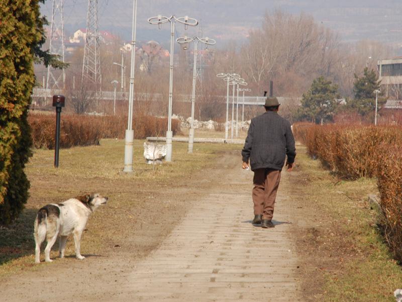 Două milioane de euro pentru Parcul Feroviarilor