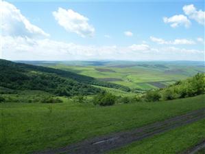 Patru proiecte româneşti pentru situri Natura 2000, finanţate de UE prin programul Life+