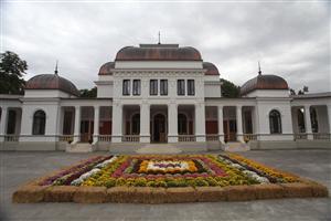 Covor de crizanteme în faţa clădirii Casino FOTO