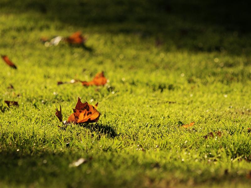 Vezi unde au fost azi noapte cele mai scăzute temperaturi din ţară