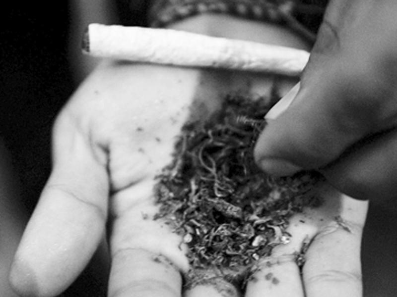 Percheziţii la vânzătorii de etnobotanice. Este vizat şi Clujul 
