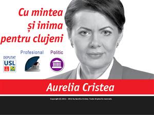 Ofensiva electorală on-line a început, la Cluj