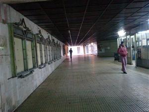 Pasajul sordid de sub gară, abandonat după Revoluţie, va fi modernizat în primăvară. Promite primăria VIDEO