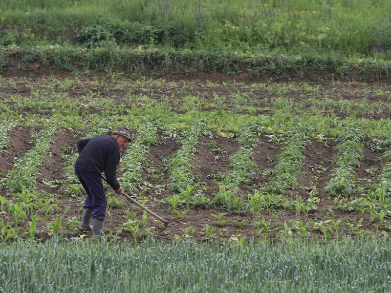 Tatonări de 150 de milioane de euro la Câmpia Turzii