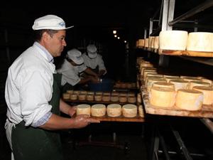 Napolact închide fabrica de brânză de la Ţaga