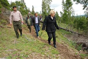 Hoţ de lemne, la un pas de a fi prins de ministrul Lucia Varga 