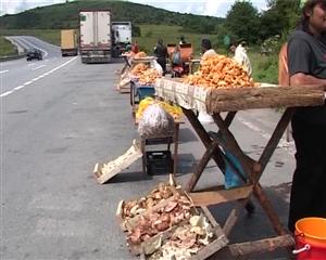 Au ajuns la spital după ce au mâncat ciuperci culese din pădure. Ce recomandă medicii VIDEO