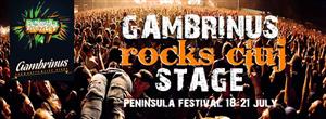 Gambrinus Stage, colţul de rock de la Peninsula. Vezi ce trupe vor concerta