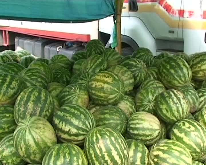 Scandal la loteria pentru vânzarea pepenilor în Cluj. Cum au 