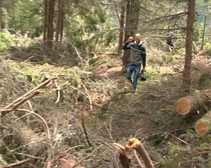 A început curăţenia între pădurarii din Cluj. Câţi vor fi daţi afară din cauza tăierilor ilegale VIDEO