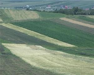 Bătăi de cap pentru primari pe tema impozitului pe teren agricol VIDEO