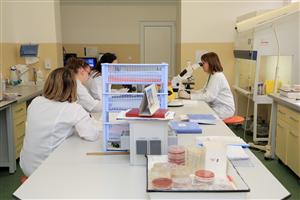 Secţia şi laboratorul Spitalului Clinic de Boli Infecţioase, reabilitate cu 940.000 de lei 