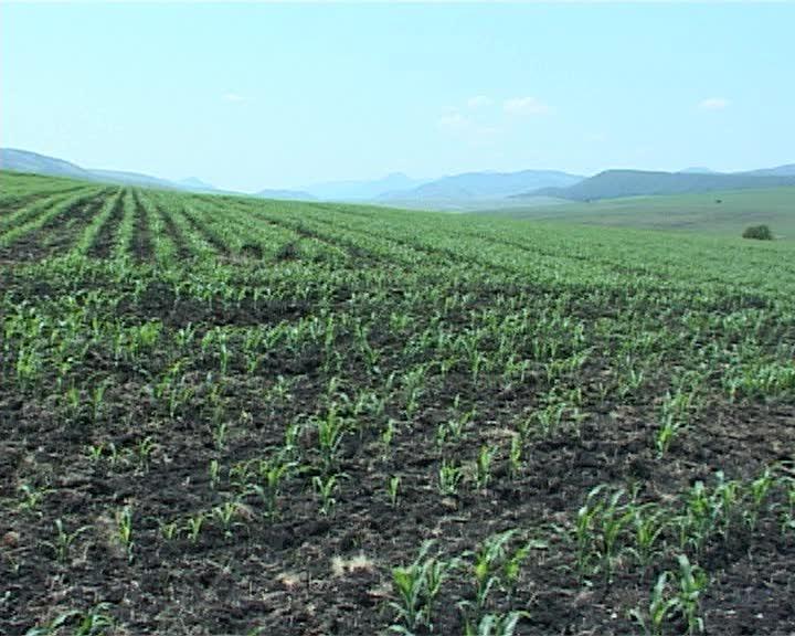 Zlati, de acord cu Boc privind vânzarea terenurilor agricole către străini VIDEO