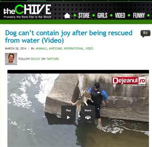 Povestea câinelui salvat din apele Someşului a ajuns peste hotare. Clipul are peste 1 milion de vizualizări VIDEO 