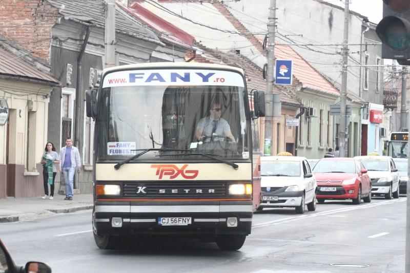 Fany refuză să iasă din Clujul metropolitan. Autorităţile nu ştiu cum să procedeze