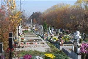 La furat de flori în cimitirul din Chinteni