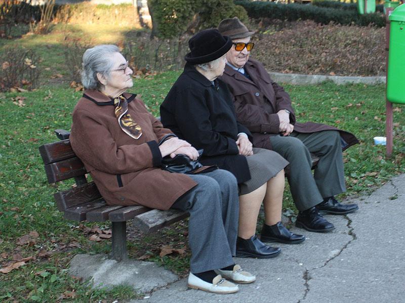 Senatul a adoptat proiectele de lege privind amnistierea pensionarilor şi a mamelor