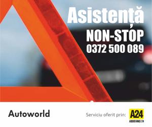 Asistenţă rutieră A24 gratuită la verificarea completă a maşinii (P)