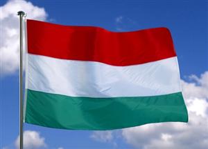 Németh Zsolt la Cluj: Ungaria nu decide ce candidat maghiar este mai potrivit pentru Preşedinţia României