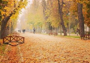 Parcuri de 90 de hectare la Cluj: Mănăştur, Gheorgheni şi Hoia se transformă în oaze de relaxare