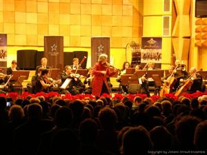 Crăciun de poveste alături de Strauss Festival Orchestra, sâmbătă, la Cluj