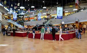 Ametistul, vedeta târgului Expo Mineralia, la Iulius Mall (P)