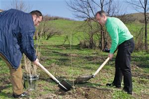 Clujul se înverzeşte: vor fi plantaţi 10.000 de arbori în zona industrială