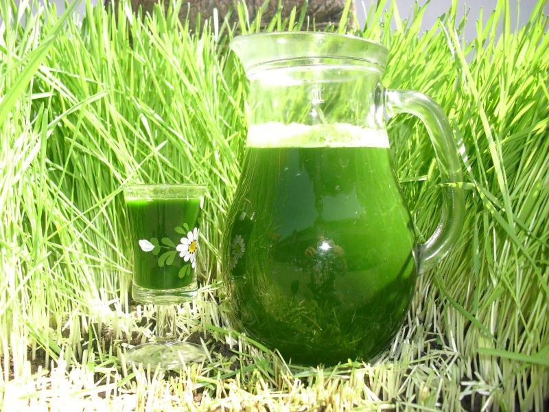 ELIXIRUL magic al EGIPTENILOR, iarba vindecătoare: neutralizează TUMORILE, stimulează TIROIDA, reduce PRESIUNEA ARTERIALĂ