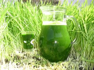 ELIXIRUL magic al EGIPTENILOR, iarba vindecătoare: neutralizează TUMORILE, stimulează TIROIDA, reduce PRESIUNEA ARTERIALĂ