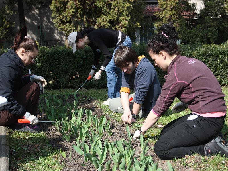 135.000 de lei puşi la bătaie pentru curăţenia de primăvară