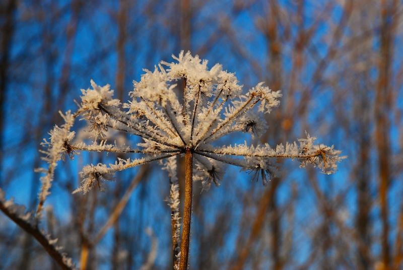 Frigul persistă. Atenţionarea meteorologilor