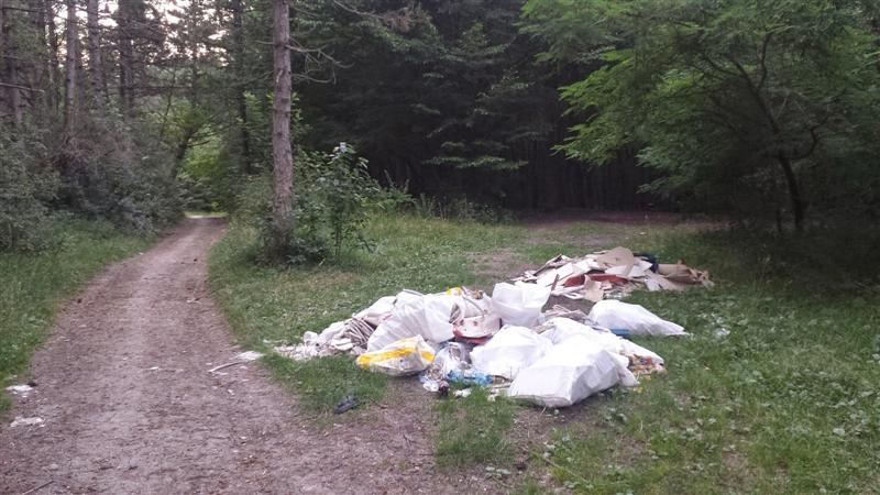 Acţiune de colectare a deşeurilor, sâmbătă. Cum te poţi implica